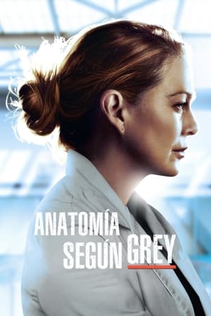 Grey's Anatomy, Season 10 poster 2
