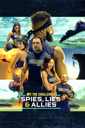 The Challenge: Spies, Lies, and Allies poster 2