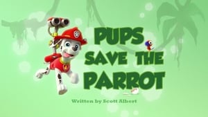 PAW Patrol, Sea Patrol, Pt. 2 - Pups Save the Parrot image
