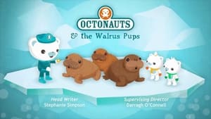 The Octonauts, Season 4 - Octonauts and the Walrus Pups image
