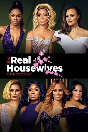 The Real Housewives of Potomac, Season 5 poster 3