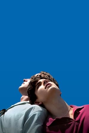 Call Me By Your Name poster 4