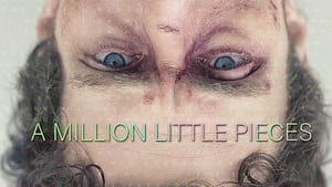 A Million Little Pieces image 4
