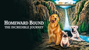Homeward Bound: The Incredible Journey image 6