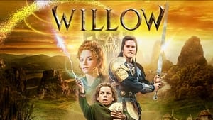 Willow image 1
