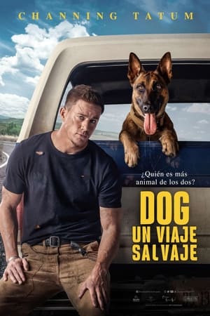 Dog (2022) poster 2