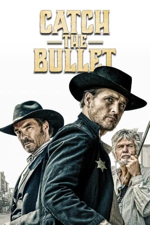 Catch the Bullet poster 2
