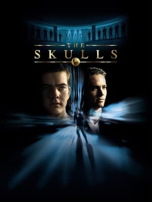 The Skulls poster 4
