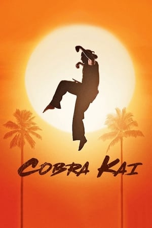 Cobra Kai, Season 2 poster 0
