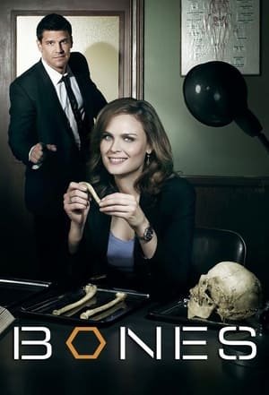 Bones, Season 8 poster 0