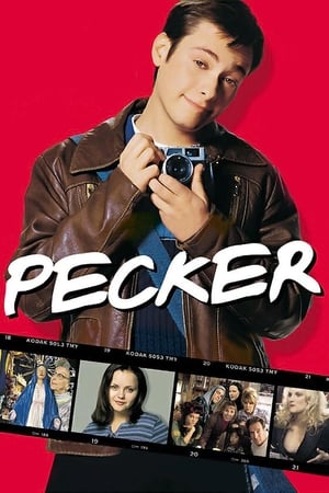Pecker poster 4