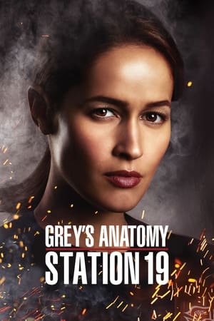 Station 19, Season 6 poster 0
