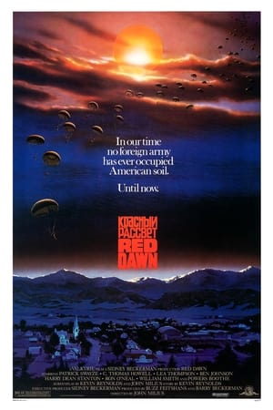Red Dawn (1984) poster 3