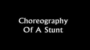 Angel, The Complete Series - Angel Choreography Of A Stunt image
