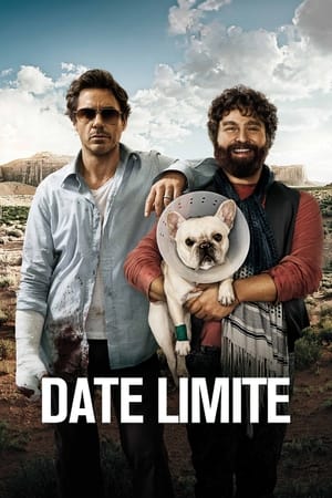 Due Date poster 1