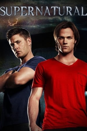 Supernatural, Season 5 poster 3