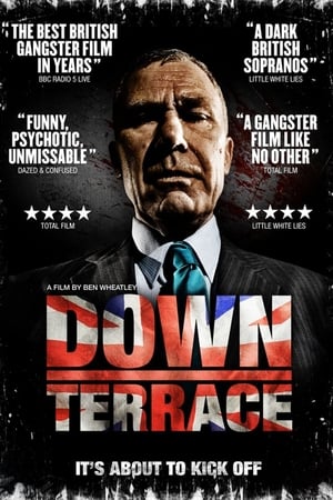 Down Terrace poster 3