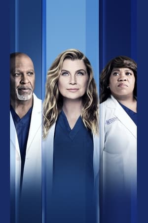 Grey's Anatomy, Season 10 poster 0
