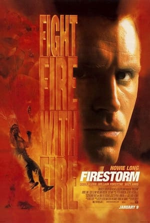 Firestorm poster 4