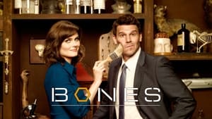 Bones, The Complete Series image 3