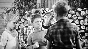 The Andy Griffith Show, Season 3 - One-Punch Opie image