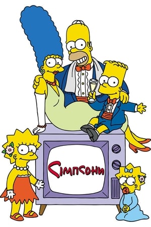 The Simpsons, Season 6 poster 0