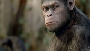 Rise of the Planet of the Apes image 4