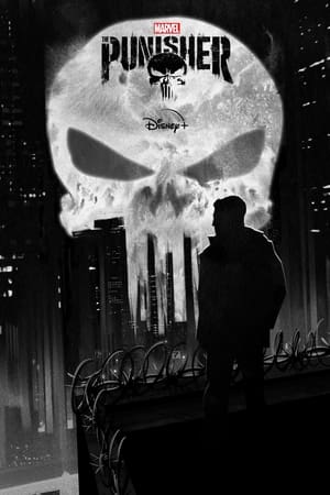 Marvel's The Punisher, Season 2 poster 1