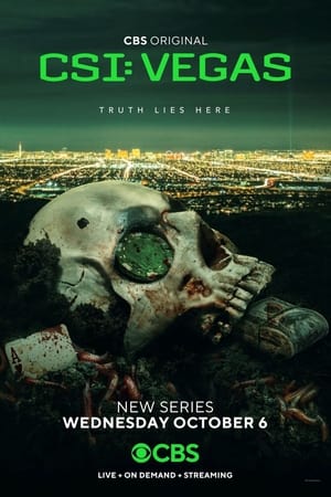CSI: Vegas, Season 1 poster 2