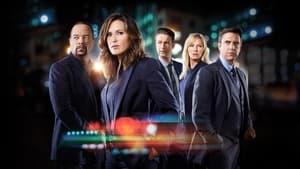 Law & Order: SVU (Special Victims Unit), Season 13 image 0