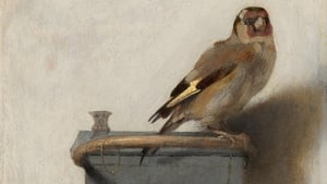 The Goldfinch image 6