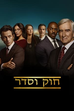Law & Order, Season 20 poster 0