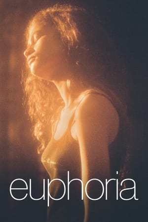 Euphoria, Season 1 poster 2