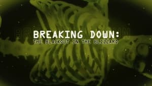 Bones: Starter Pack - Breaking Down: The Blackout in the Blizzard image