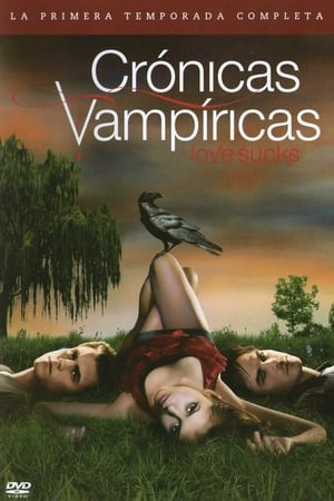 The Vampire Diaries, Season 8 poster 1
