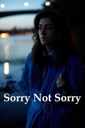 Sorry Not Sorry poster 1