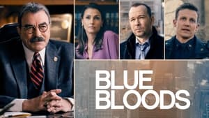 Blue Bloods, Season 1 image 0