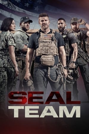 SEAL Team, Season 1 poster 3
