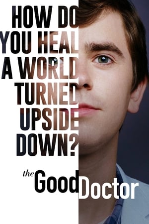 The Good Doctor, Season 5 poster 0