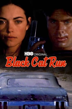 Black Cat Run poster 3
