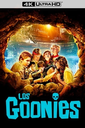 The Goonies poster 1