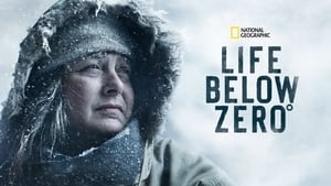 Life Below Zero, Season 4 image 3
