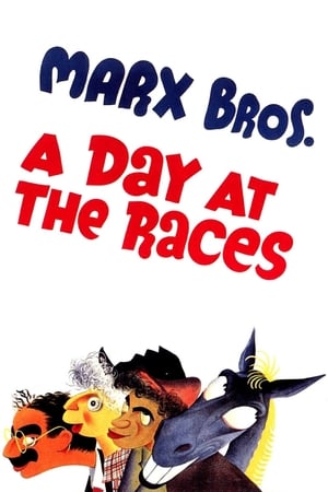 A Day At the Races poster 1