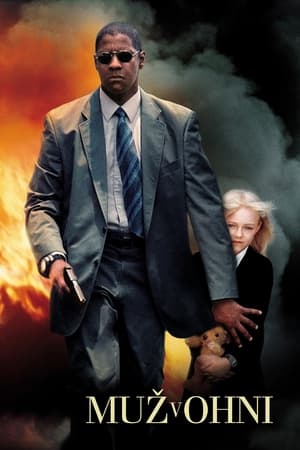 Man On Fire (2004) poster 3