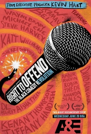 Right to Offend: The Black Comedy Revolution poster 0