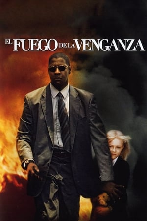 Man On Fire (2004) poster 4