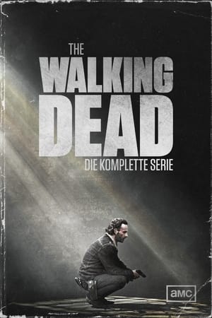 The Walking Dead, Season 11 poster 1