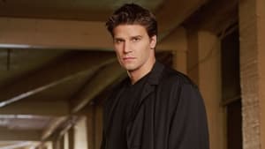 Angel, The Complete Series image 0