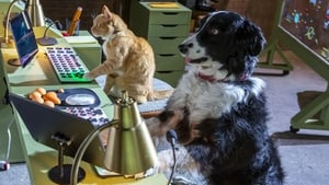 Cats & Dogs 3: Paws Unite! image 8