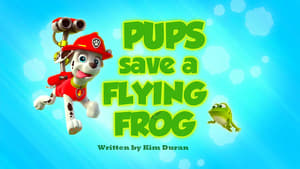PAW Patrol, Ultimate Rescue, Pt. 2 - Pups Save a Flying Frog image